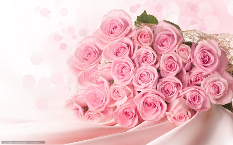 bouquet of pink roses