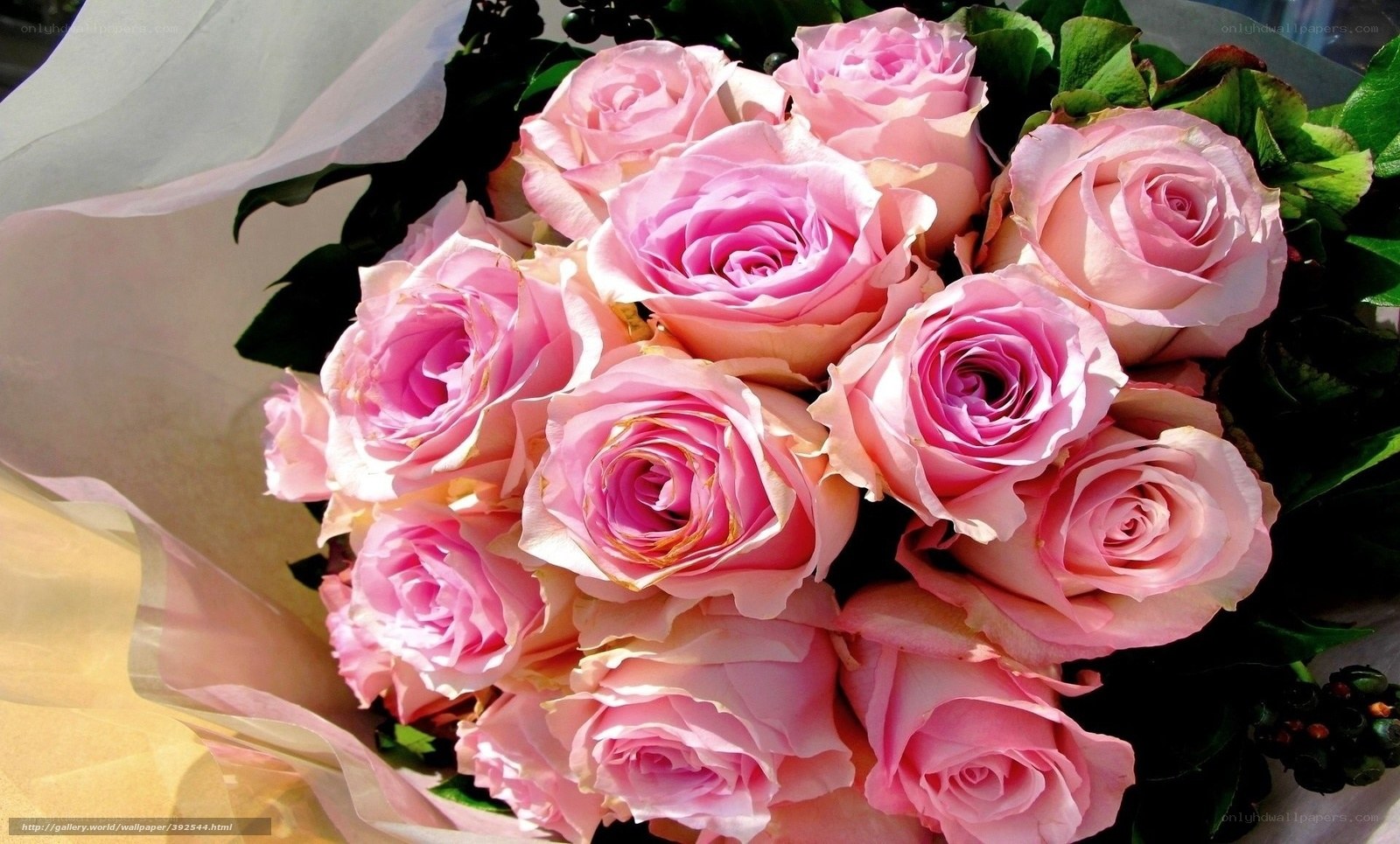 bouquet of pink roses
