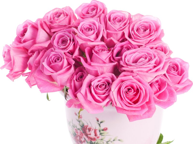 bouquet of pink roses