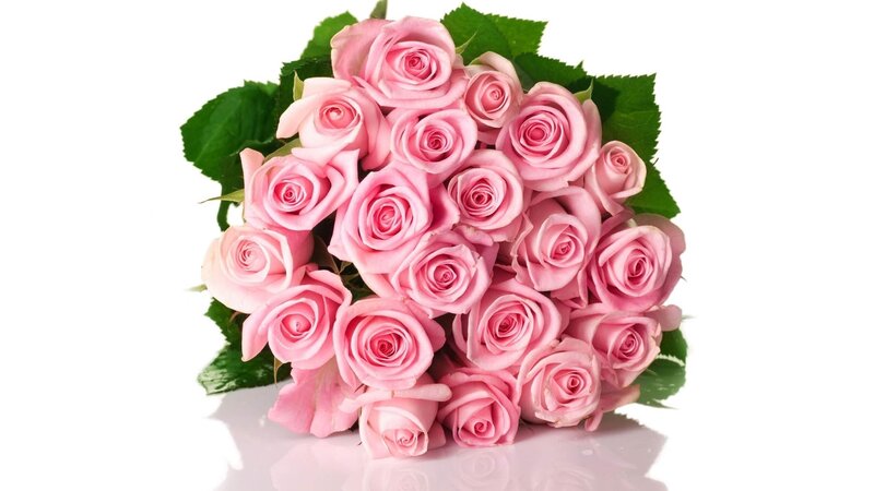 bouquet of pink roses