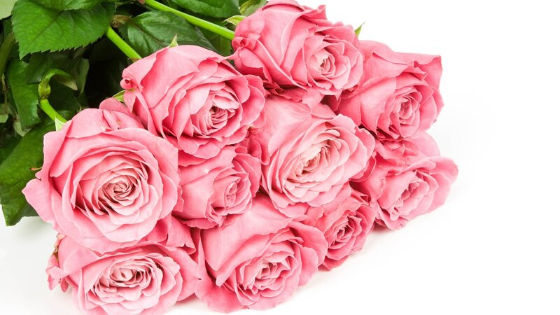 bouquet of pink roses