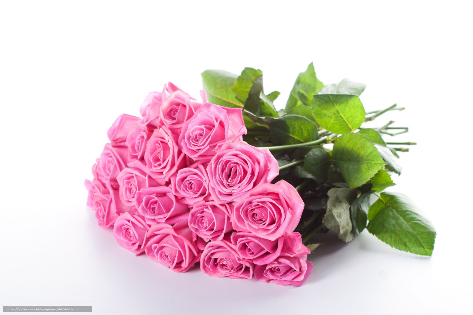 bouquet of pink roses
