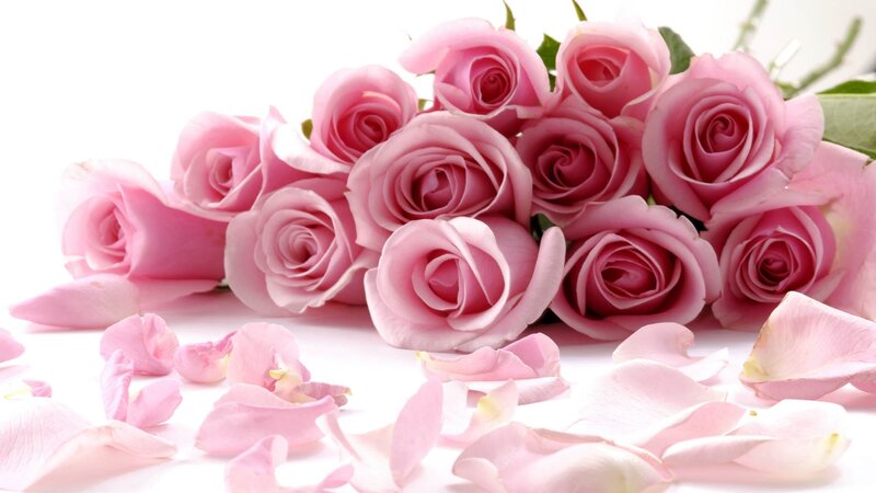 bouquet of pink roses