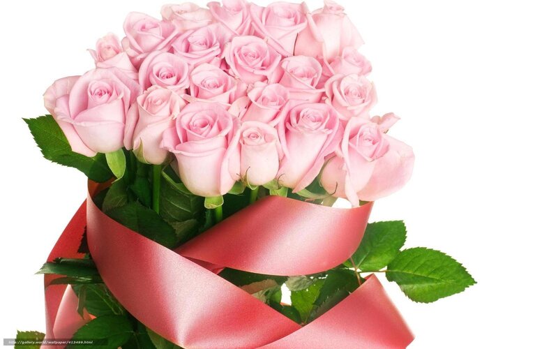 bouquet of pink roses
