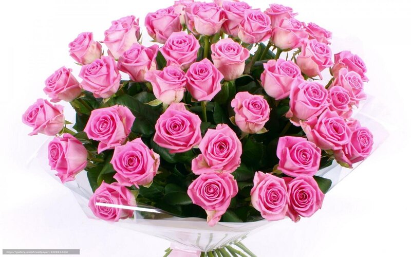 bouquet of pink roses