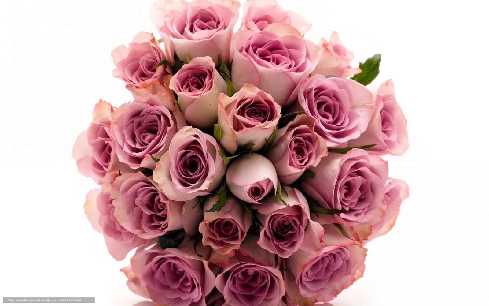 bouquet of pink roses