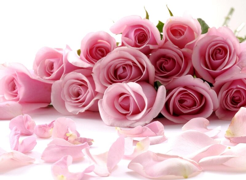 bouquet of pink roses