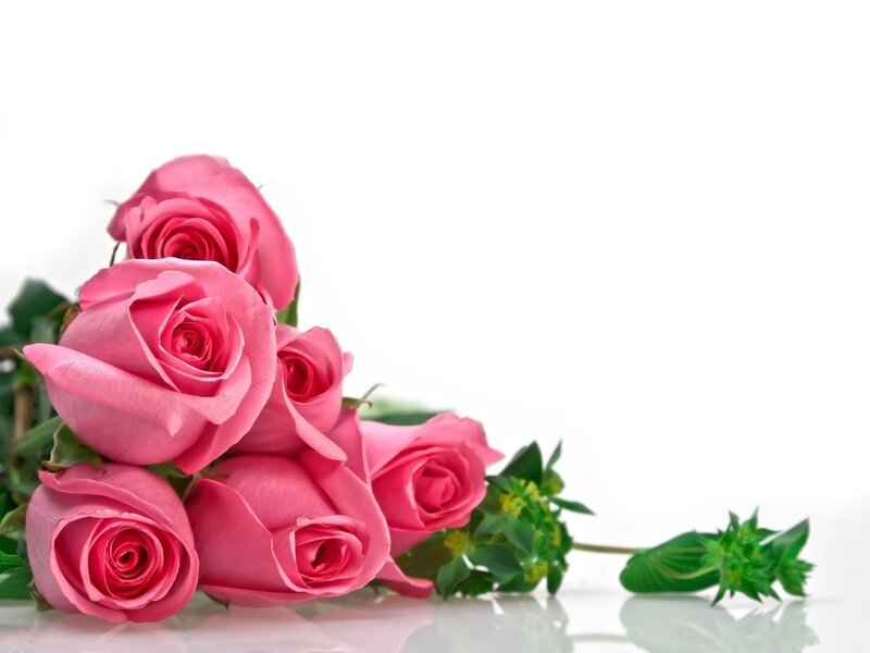 bouquet of pink roses