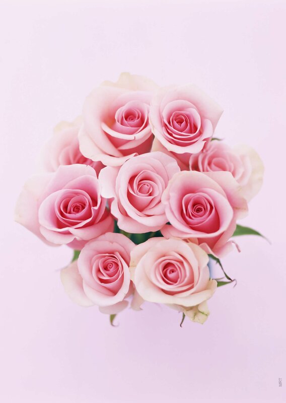 bouquet of pink roses