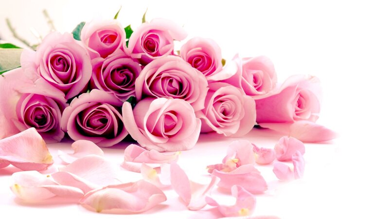 bouquet of pink roses