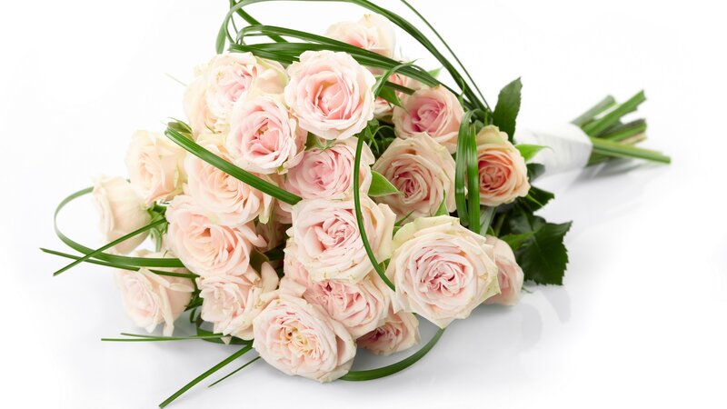 bouquet of pink roses