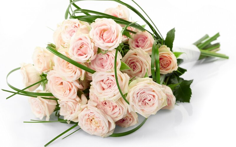 bouquet of pink roses