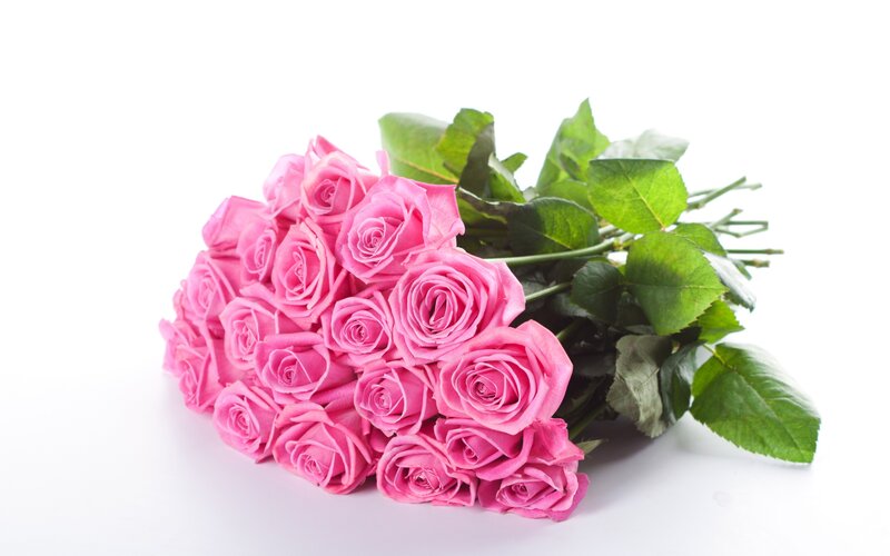 bouquet of pink roses