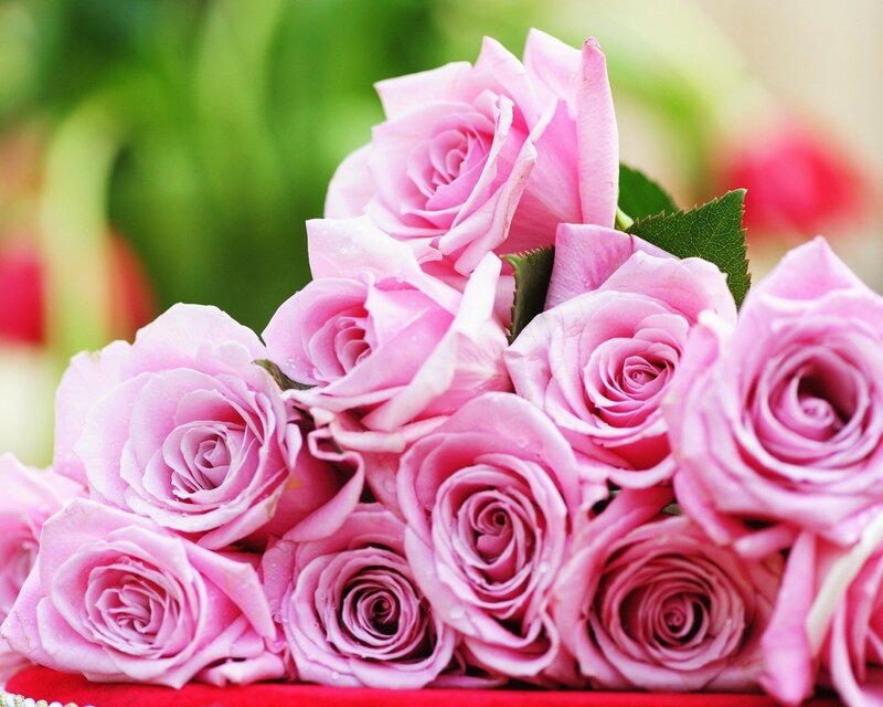 bouquet of pink roses
