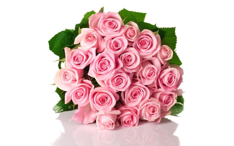 bouquet of pink roses