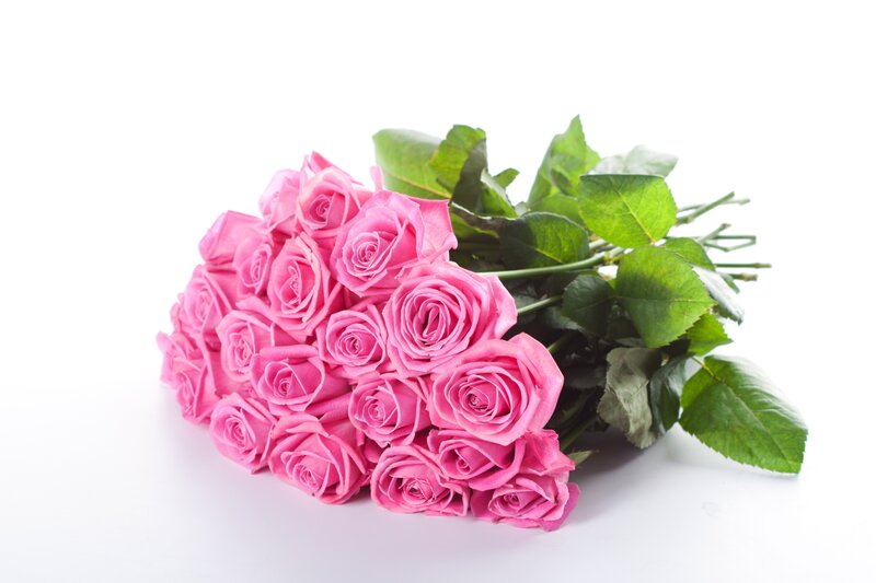 bouquet of pink roses