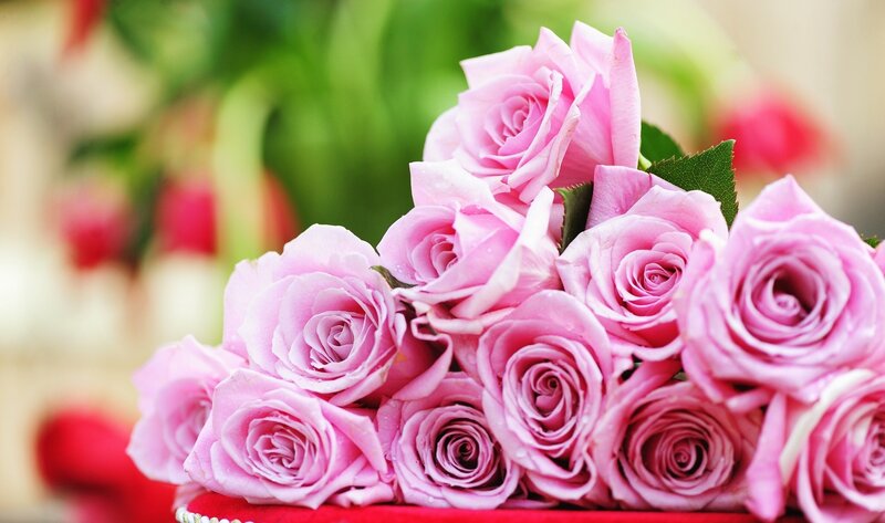 bouquet of pink roses