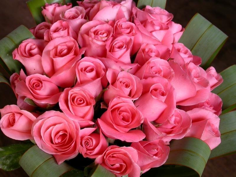 bouquet of pink roses