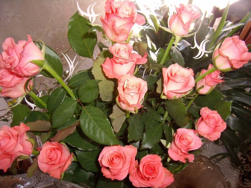 bouquet of pink roses