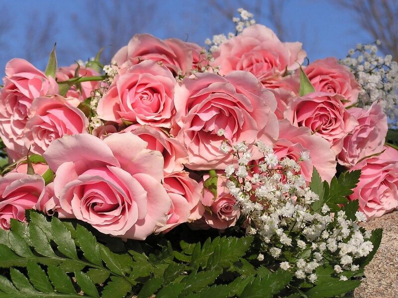 bouquet of pink roses