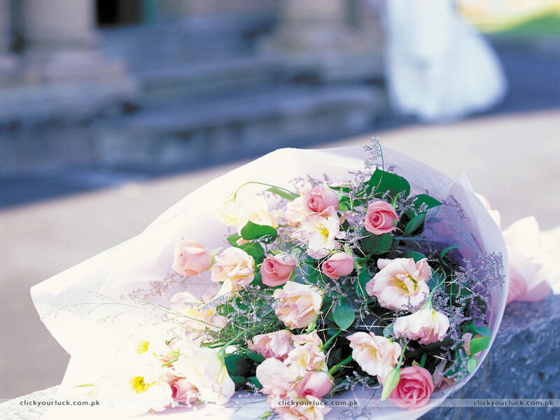 Bouquet of pink roses