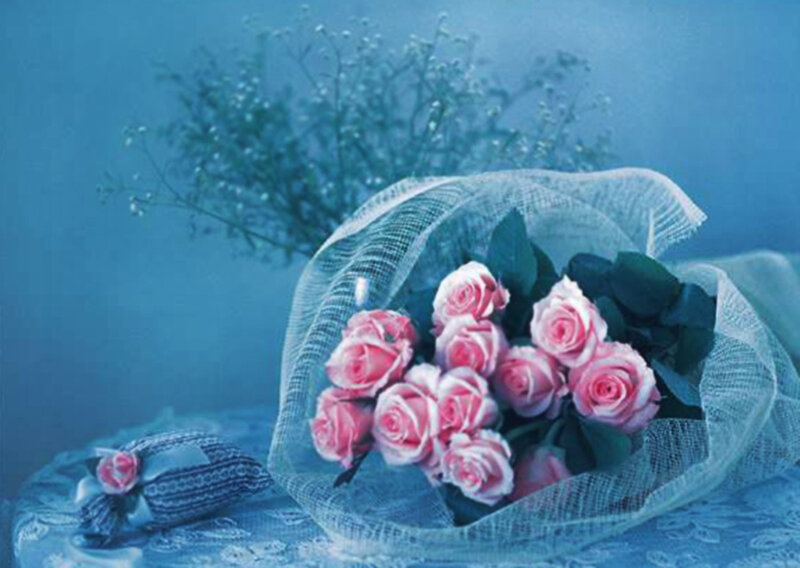 Bouquet of Pink Roses — Blue