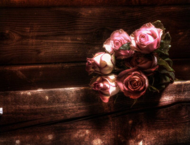 Bouquet of Pink Roses — Brown