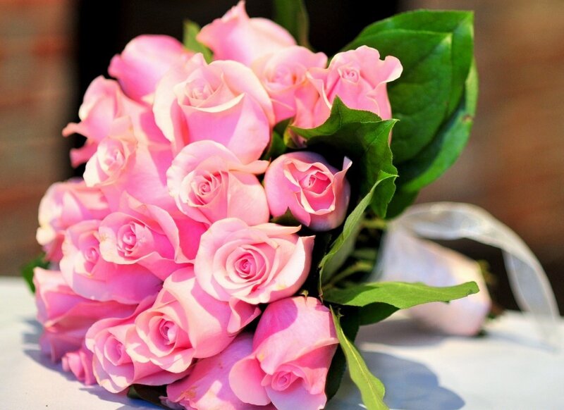 Bouquet of Pink Roses — Calm, Afternoon, Photograph, Green Leaves, White Ribbon