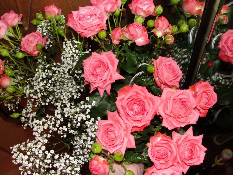 Bouquet of Pink Roses — Calm, Photograph, Baby's Breath, Green Buds