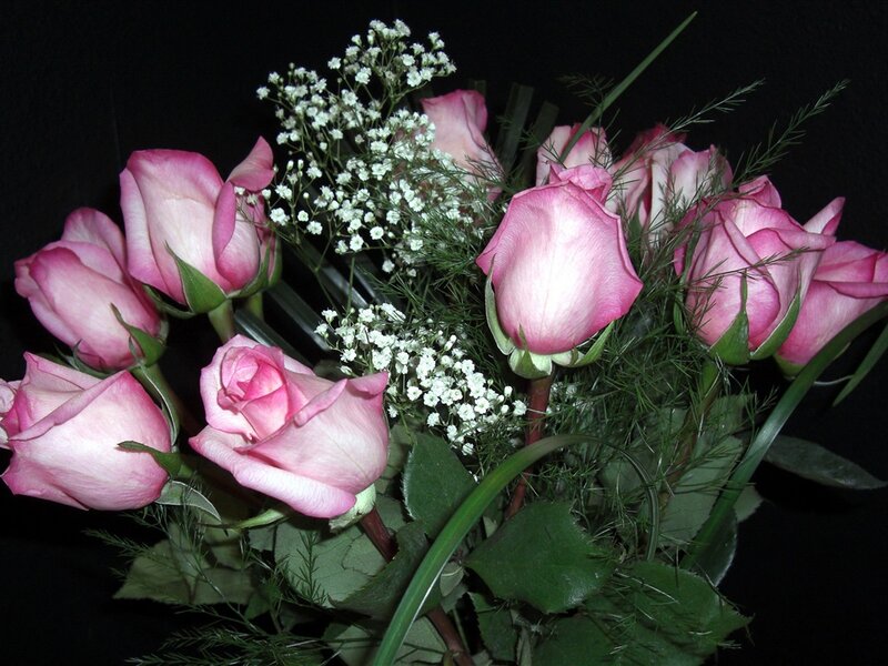 Bouquet of Pink Roses — Calm, Photograph, Baby's Breath, Green Leaves, Dill