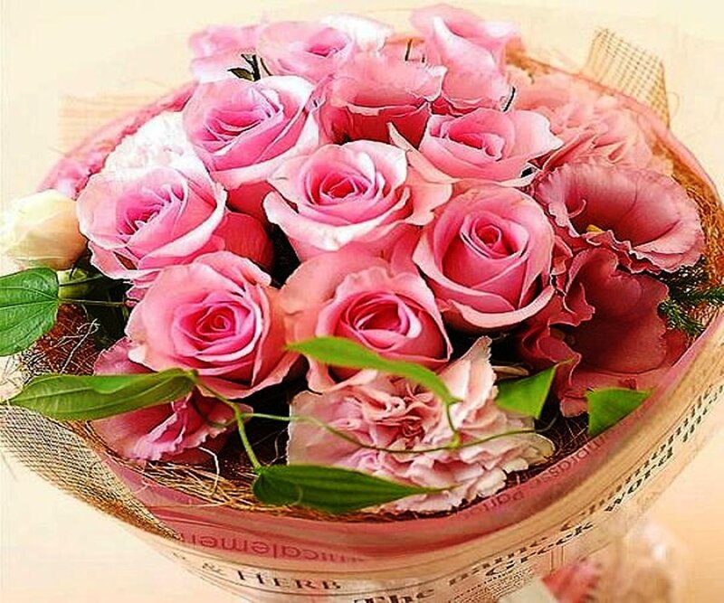Bouquet of Pink Roses — Calm, Photograph, Green Leaves, Carnations