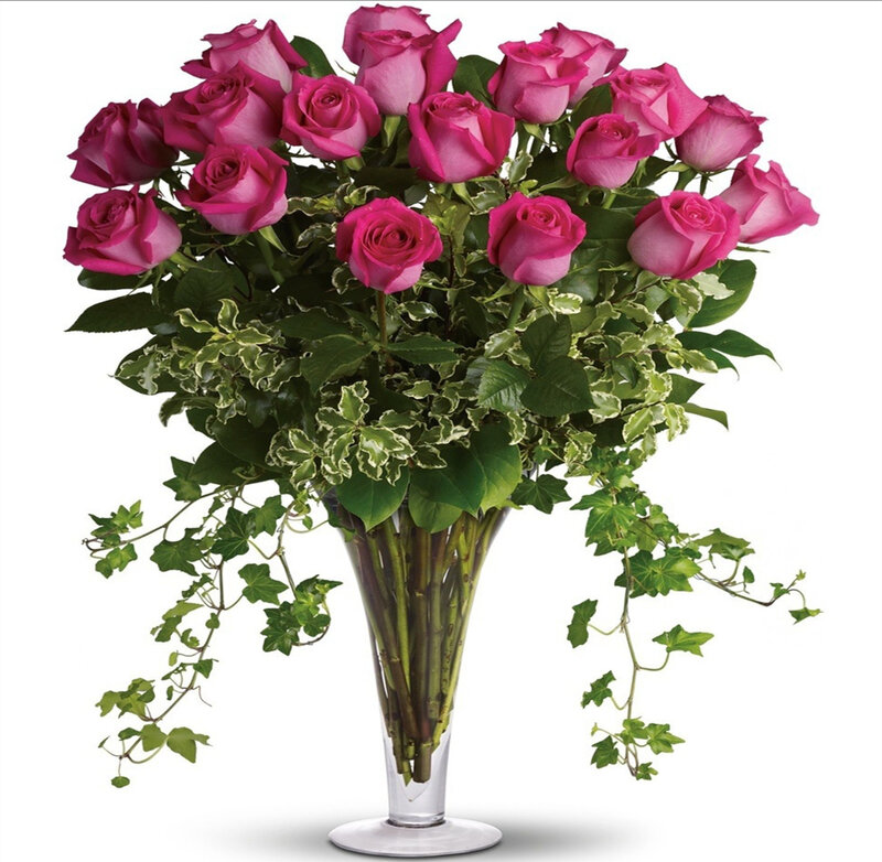 Bouquet of Pink Roses — Calm, Photograph, Green Leaves, Ivy