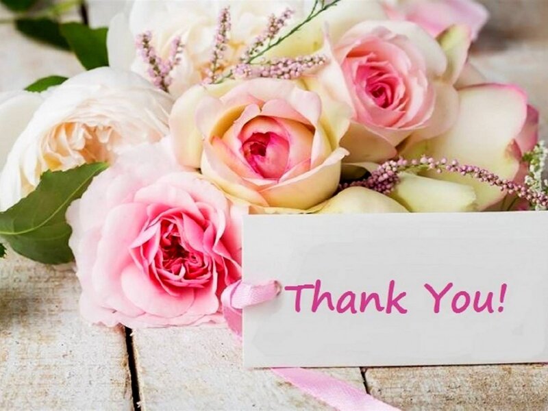 Bouquet of Pink Roses — Calm, Photograph, Green Leaves, Pink Ribbon, Card