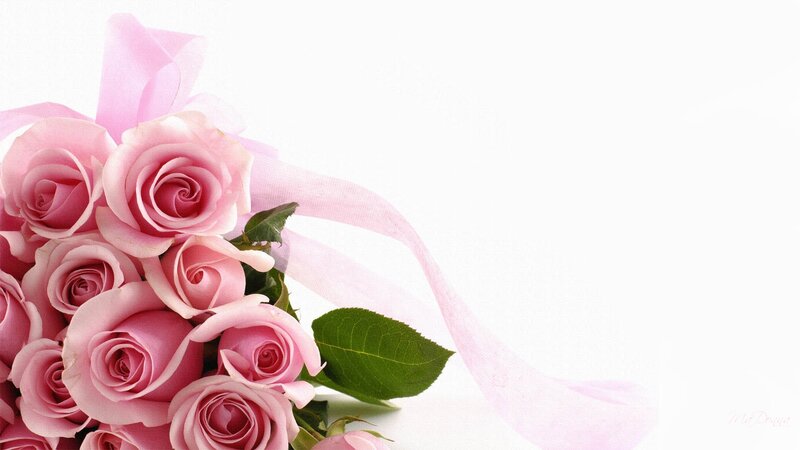 Bouquet of Pink Roses — Calm, Photograph, Green Leaves, Pink Ribbon