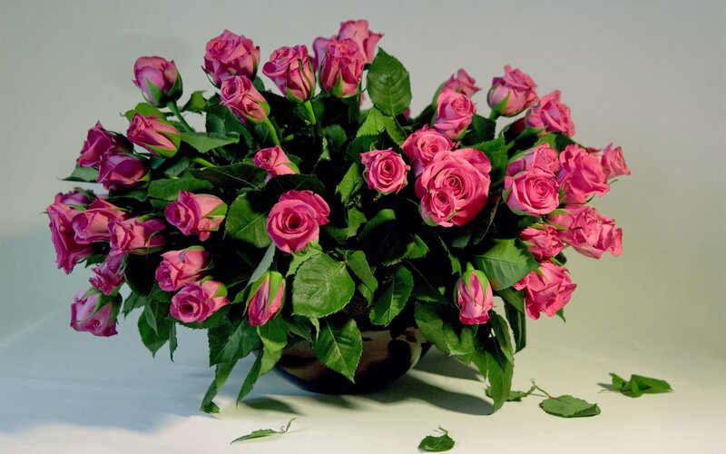 Bouquet of Pink Roses — Calm, Photograph, Green Leaves, Vase, White Surface