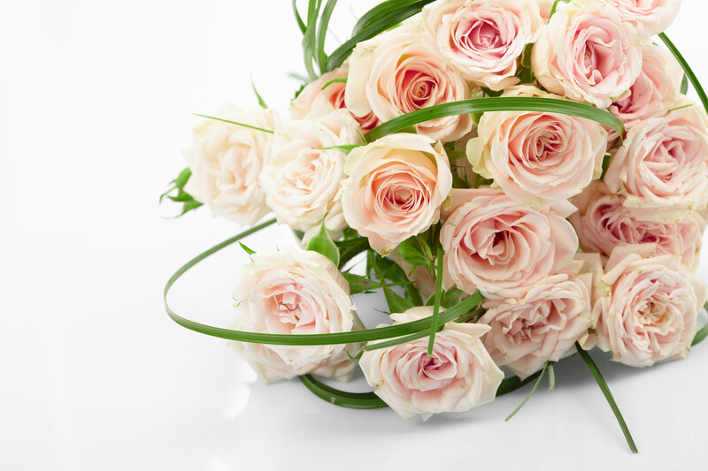 Bouquet of Pink Roses — Calm, Photograph, Green Leaves, White Background