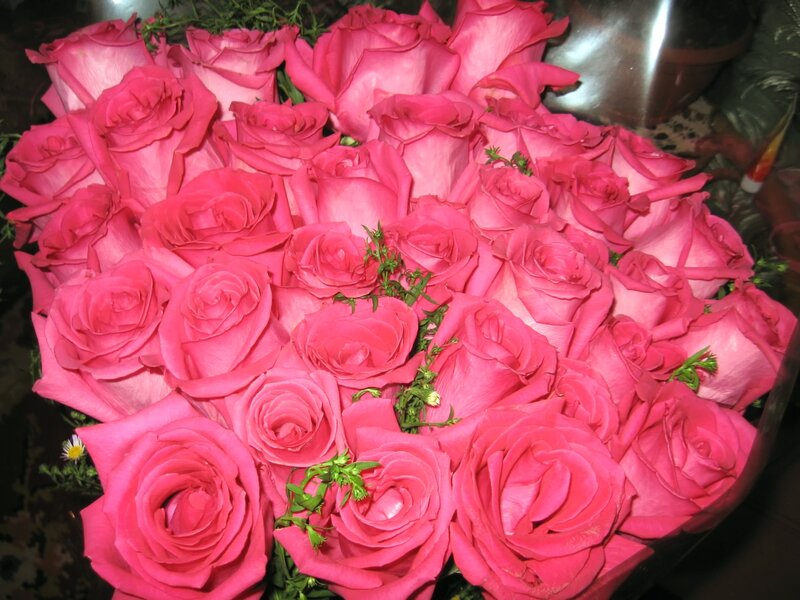 Bouquet of Pink Roses — Calm, Photograph, Greenery