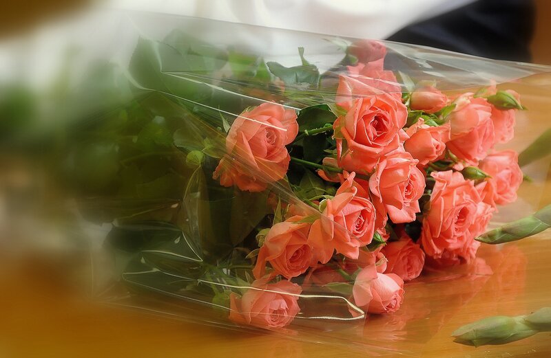 Bouquet of Pink Roses — Calm, Photograph, Plastic Wrap