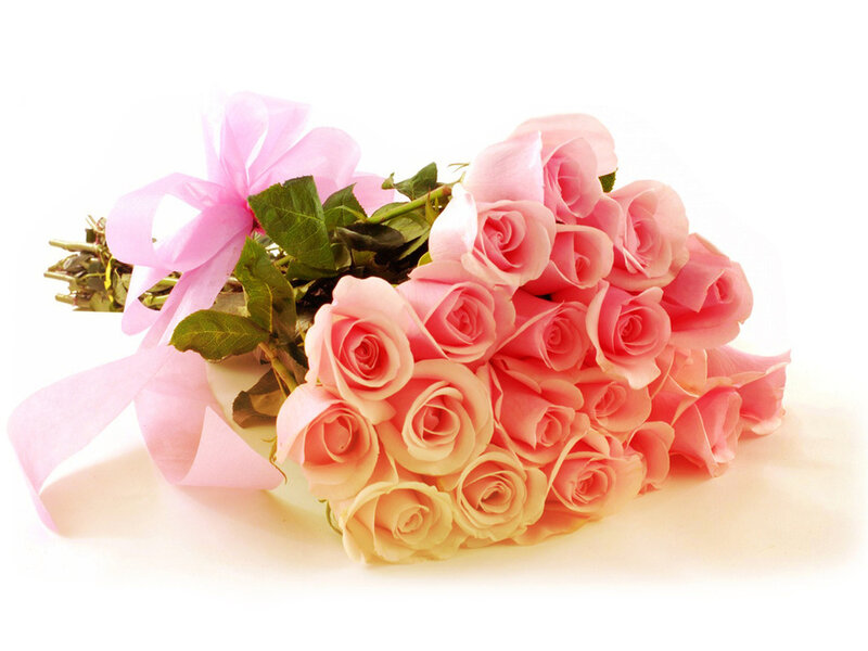 Bouquet of Pink Roses — Calm, Photograph, Ribbon