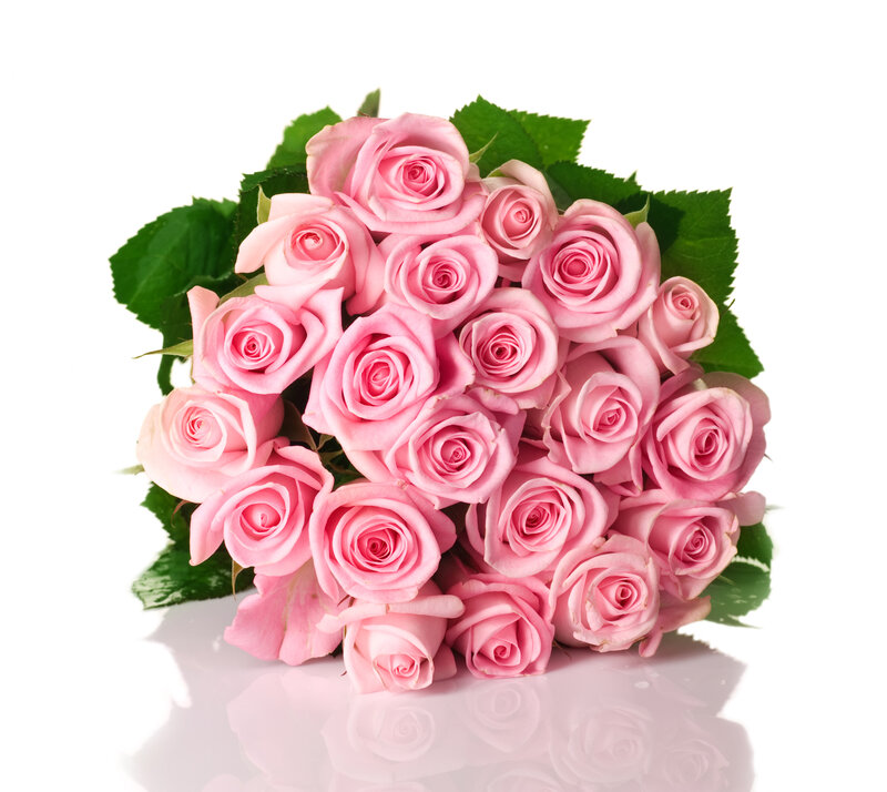 Bouquet of Pink Roses — Calm, Photograph