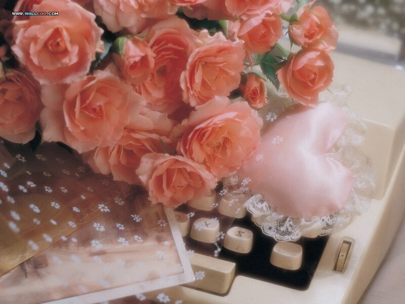 Bouquet of Pink Roses — Calm, Photograph, Typewriter