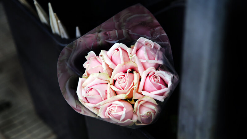 Bouquet of Pink Roses — Calm, Photograph, Wrap