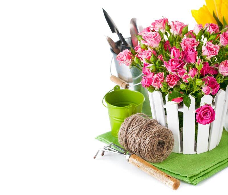 Bouquet of Pink Roses — Calm, Spring, Photograph, Garden Tools