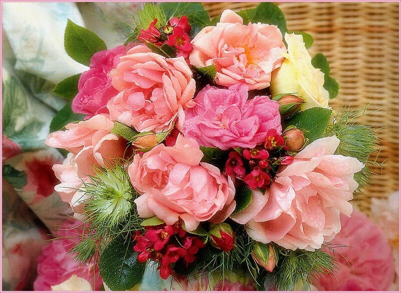 Bouquet of Pink Roses — Calm, Spring, Photograph