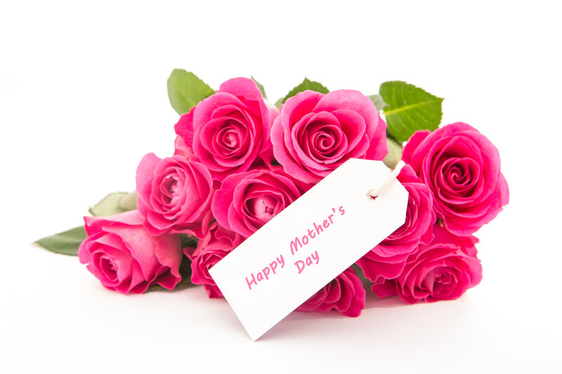 Bouquet of Pink Roses — Celebratory, Photograph