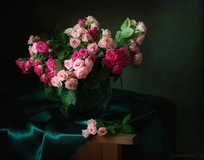 Bouquet of Pink Roses — Dramatic, Photograph, Vase