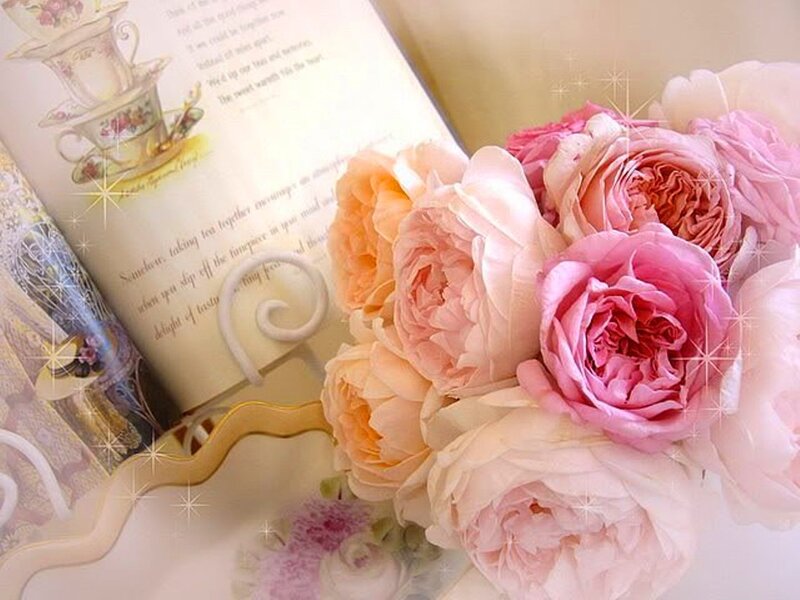 Bouquet of Pink Roses — Elegant, Photograph, Book