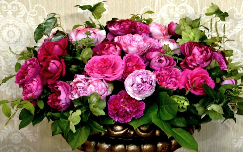 Bouquet of Pink Roses — Elegant
