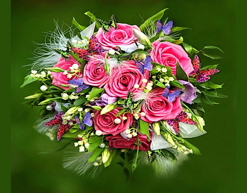 Bouquet of Pink Roses — Festive