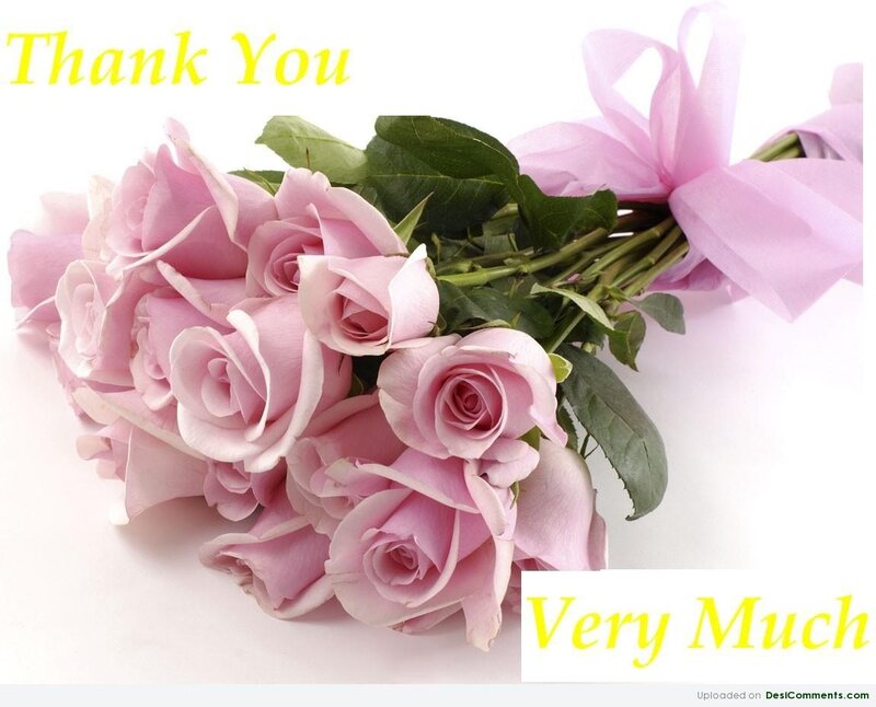 Bouquet of Pink Roses — Grateful